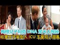 梅根兒子阿奇DNA驚天大揭秘！哈里王子暈倒入ICU，王室陷入混亂｜宮廷秘史｜