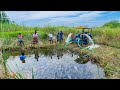 Pond Water Fish Catching and Cooking Fish Gravy in our Village | country fish curry village Foodies