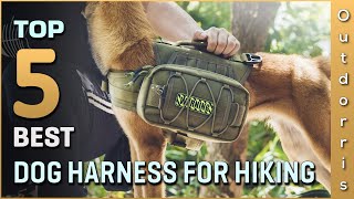 Top 5 Best Dog Harnesses for Hiking Review in 2023