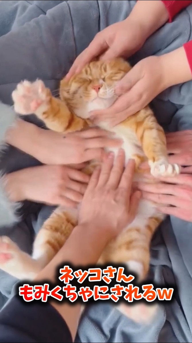 If you feel relaxed after watching Nekko-san, go to sleep lol