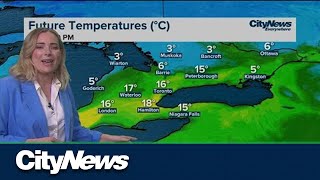 A wonderful Spring warm up is on the way Information