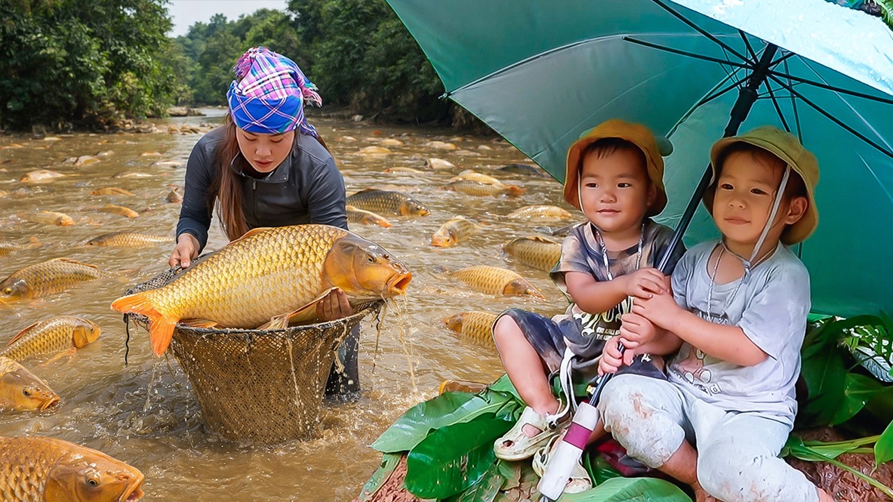 Giant School of Fish Appears after Heavy Rain | Soaking Fishing Day of Chuc Duong | Village Life