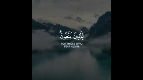 وما الحياة الدنيا إلا لعب ولهو / القارئ شريف مصطفى حالات واتس اب دينية 🤍