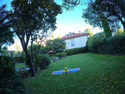 Maiden Minihawk Vtol 3d printed