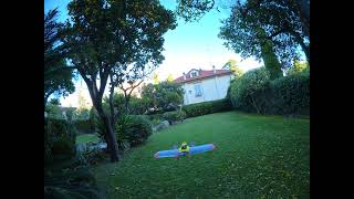 Maiden Minihawk Vtol 3d printed