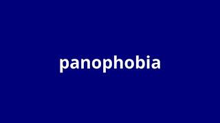 what is the meaning of panophobia
