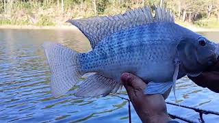 ESTOU DE VOLTA NO BUGIO EM NAZARÉ PAULISTA PRA MAIS UMA PESCARIA 🎣