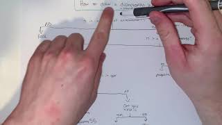 Jack's Tutor Tip about Dichotomous Keys