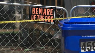 Man describes using shovel to save boy in dog attack