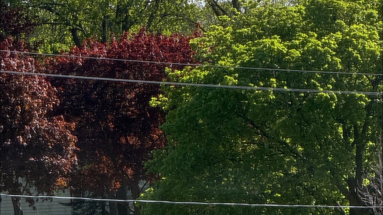 a soft summery morning with me | productivity, lost files 