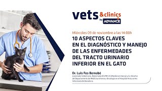 58.ES: 10 claves en el diagnóstico y manejo de las enfermedades del LUTD en gatos