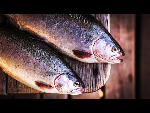 Video: Ինչպես աղի կարմիր ձուկը համեղ ու արագ