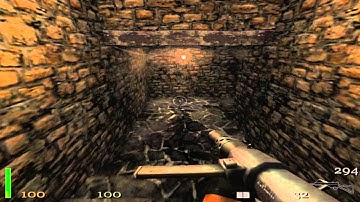 Return To Castle Wolfenstein Walkthrough Part 21 ( Paderborn Village ) HD All Secrets