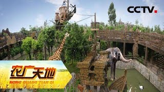 《农广天地》 濒临亏损的农庄年赚百万 90后的新农庄 20190616 | CCTV农业