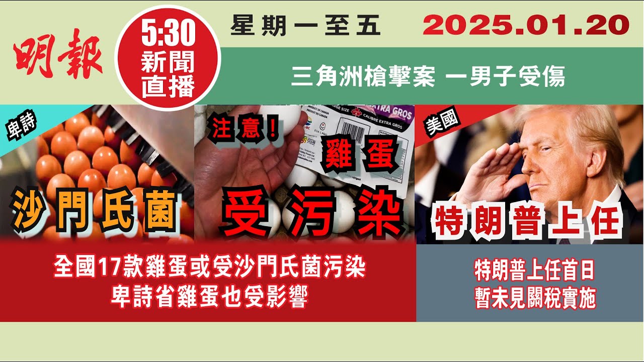 【#明報530新聞直播 (#溫哥華)】1月20日|全國17款雞蛋或受沙門氏菌污染 卑詩省雞蛋也受影響|特朗普上任首日暫未見關稅實施|三角洲槍擊案  一男子受傷|#加拿大新聞 |#明報