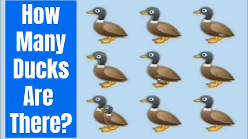 How many Ducks are there in the Picture - Viral Puzzle