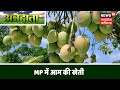 Mango Cultivation | आम का सफल उत्पादन कैसे किया जाए ? | Annadata | News18 MP Chhattisgarh