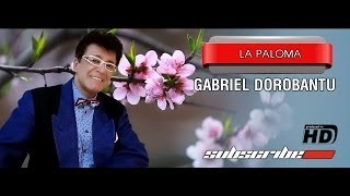 Gabriel Dorobantu  La Paloma