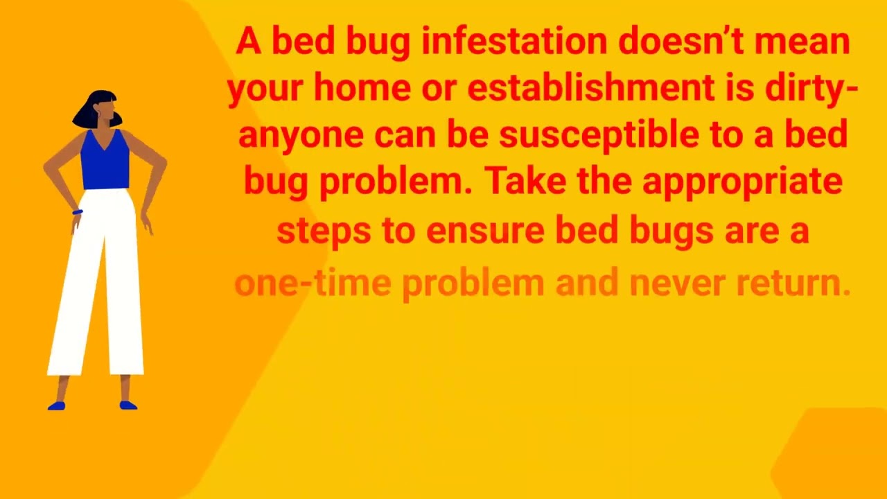 Ecola Termite - Extermination in Los Angeles, CA