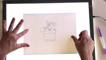 Daylight Company Wafer 2 Lightbox Video by Minki Kim