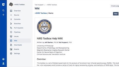 NIRS Toolbox Introduction - Presentation at University of Texas at Austin