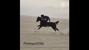 ردة فعل الفارس ابداااع الله يحفظه 