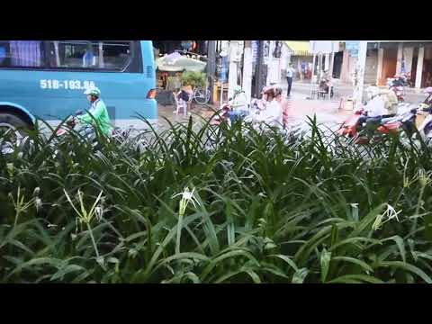 Verkeer In Saigon Tijdens De Spits