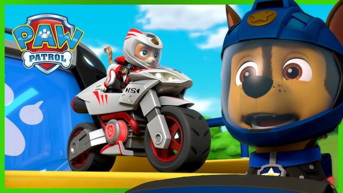 Best Skye's Ultimate Rescues & More! | PAW Patrol | Cartoons for Kids Compilation - YouTube