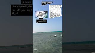 محمية خليج دنقناب وجزيرة مكوار #اعرف_بلدك 🇸🇩