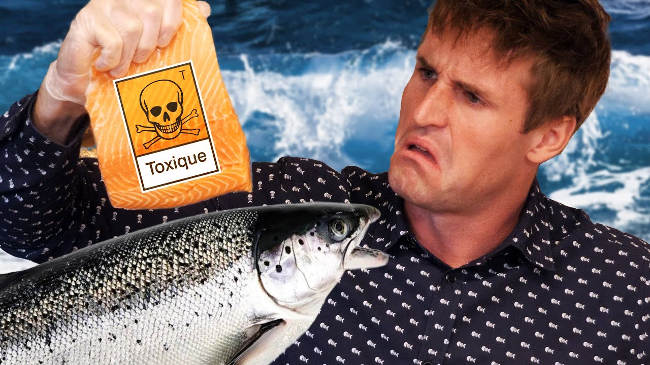 Ne mangez surtout pas ce saumon