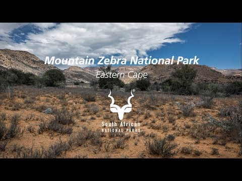 วีดีโอ: Mountain Zebra National Park, South Africa: The Complete Guide