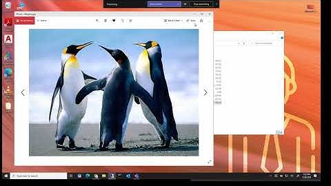 Tiger Bridge Version 4 Features & Demo