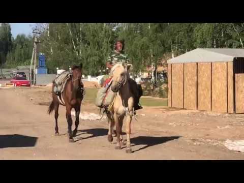 Конный путешественник Цзин Ли прибыл в Нижний Новгород