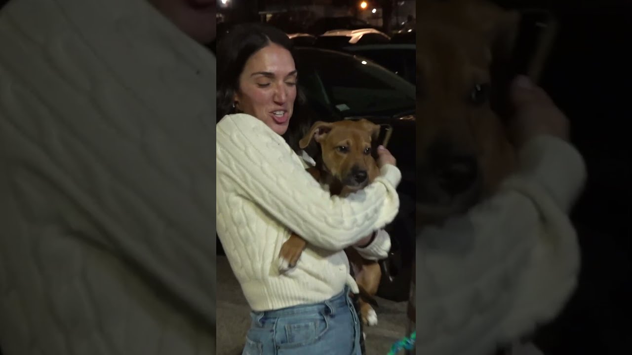 A Dog Became The Star Of Dave Portnoy's Pizza Review