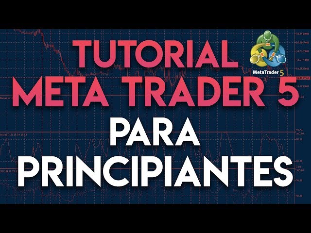 Tutorial MetaTrader 5 para principiantes | Cómo usar MeTatrader (MT5)