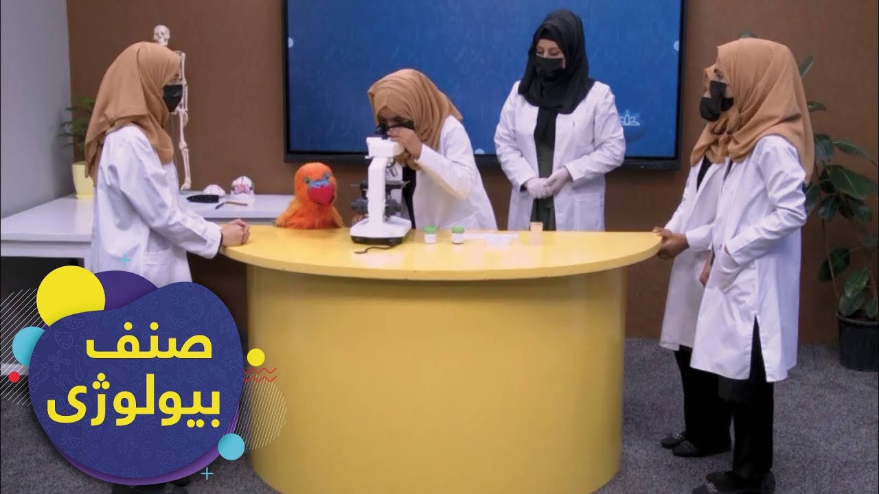 SENF - Biology Grade 7 - Episode 2 | صنف - اووم صنف بیولوژي - درس۲: یو حجروی او څو حجروی موجودات