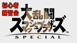 【大乱闘スマッシュブラザーズ SPECIAL】初心者なので操作方法から学ぶ【ちゅうけんぽちこう】