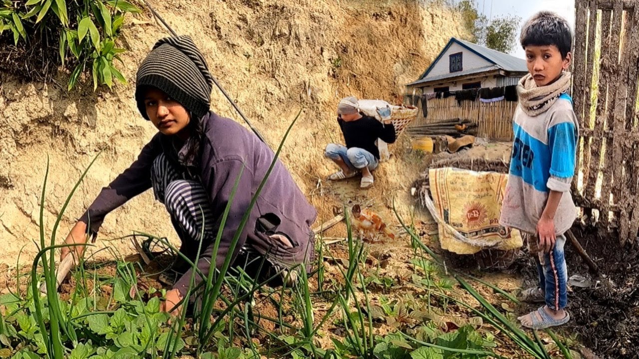 In Their Field How they Work in their Fields During School Holidays | Village Life of ...
