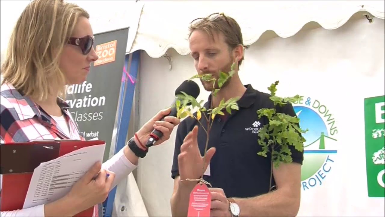 twtcert Festival of Nature 2017 - Live Interview – The Woodland Trust
