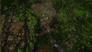Kingdom Come: Deliverance Walkthrough Part 121 No Commentary