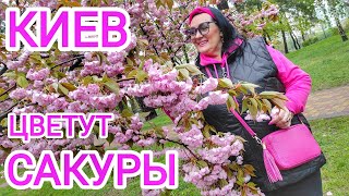 ВОЙНА заколебала! ХОЧУ ОТДЫХА! Киев цветёт, Дубай заливает, Россия утопает