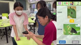Publication Date: 2024-07-07 | Video Title: S20 _德蘭中學_都市「蟲」林