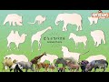 リアルな動物パズルであそぼう！知育アニメ【赤ちゃん・子供向け】Real animals puzzle for kids