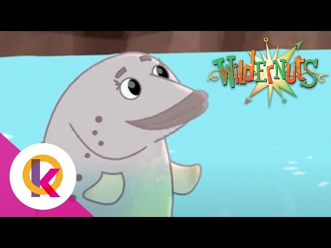 🌰 🚀 ✨ Wildernuts -  Sure As Eggs Is Eggs | S1 E24 | Kids Learning | Educational Cartoon | Cartoon