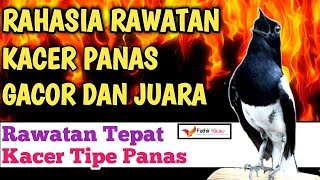 PERAWATAN KACER TIPE PANAS