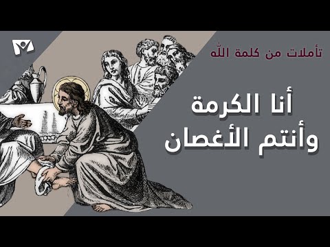 فيديو: هل الكرمة مثل أوكودا؟