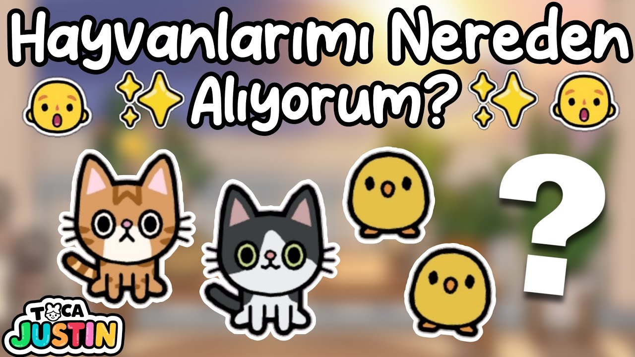 Karamel, Sütlaç ve Kuşları Nereden Aldığımı Bilmiyorsan Bu Videoyu İzle!!✨️👍🏻 / Justin Toca