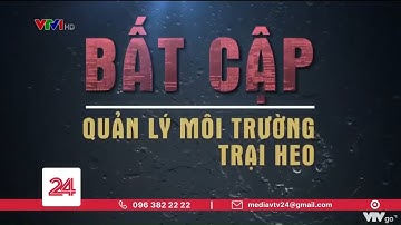 Tiêu Điểm:  Bất cập quản lý môi trường trại heo | VTV24