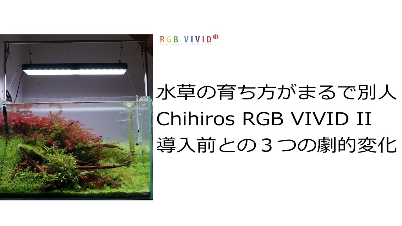 ChihirosVIVID 2 RGBで水草が劇的に変化します。 - YouTube
