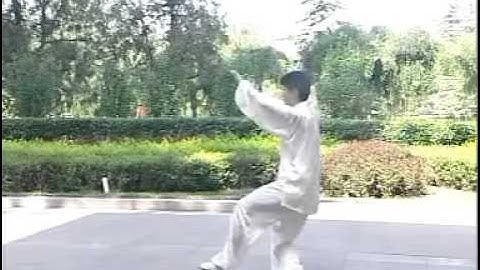 簡化２４式太極拳（全套后面）。。。宗維潔老師zong weijie